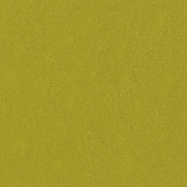 3362 yellow moss